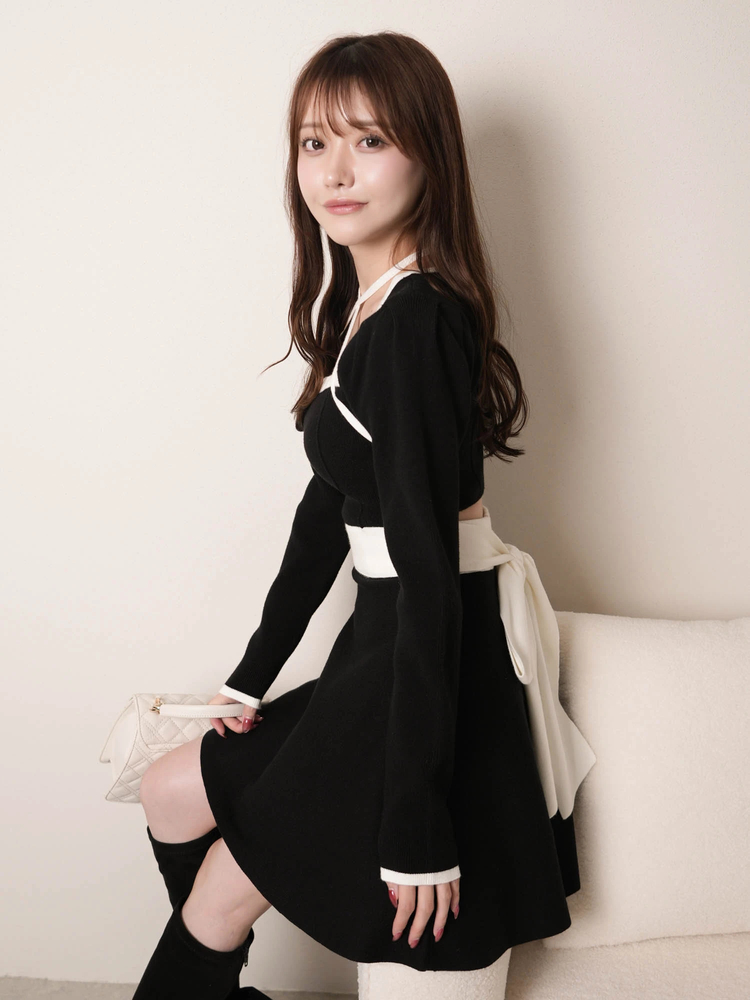 LIP SERVICE(リップサービス) |バックリボンバイカラーフレアワンピース